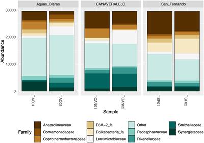 Phylogenomic discernments into Anaerolineaceae thermal adaptations and the proposal of a candidate genus Mesolinea